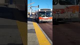 Bus Route 1 Arriving at 44 Street SE BRT Station calgary calgarytransit bus brt transit [upl. by Lamprey]