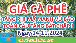 Giá cà phê hôm nay ngày 14112024  Giá Cà Phê Tăng Phi Mã Các Địa Phương Tăng Bất Chấp [upl. by Shandie]