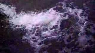 Fish Stocking in Devils Lake  Lincoln CIty Oregon [upl. by Benkley149]