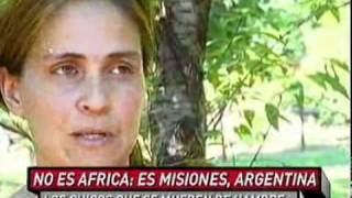 No es África es Misiones Argentina 70 20 11 eltrecetv com ar [upl. by Goraud]