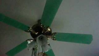 Montage Of Ceiling Fans In My House [upl. by Khosrow176]