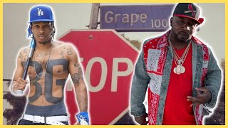 10 Most Dangerous Gangs In Watts California [upl. by Nahtaoj]