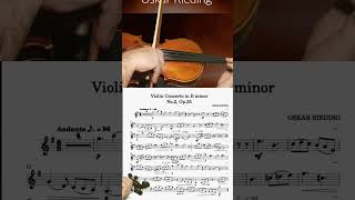 RIEDING CONCERTO Op 35 in B minor 2Mov  FREE VIOLIN EASY PLAY ALONG JL20 [upl. by Asena]