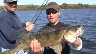 Rainy Lake Ontario Walleye [upl. by Aronel]