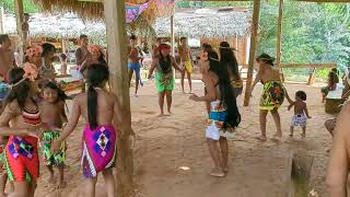 Traditional dance at Emberá Drúa village in Panama [upl. by Eupheemia]