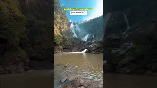 newshortvideo Dangariwattrfalljashpur umeshvlogjashpur 16 October 2024 [upl. by Calista]