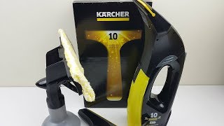 Karcher WV Anniversary Edition Window Vacuum Review [upl. by Aratihc]