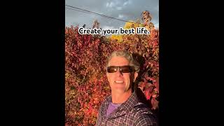 Create the life you have always desired lifecoachingvideo [upl. by Adnohsor762]