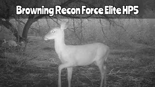 Browning Recon Force Elite HP5 Trail Camera Aug 27Sept 28 2024 [upl. by Maxey]