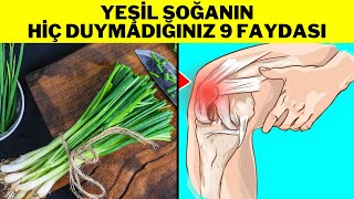 MEĞERSE ÇOK FAYDALIYMIŞ TAZE SOĞANIN FAYDALARI Yeşil Soğanın Faydaları  Taze Soğanın Zararları [upl. by Mitch58]