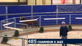 Generaal by Charmeur x Jazz x Contango [upl. by Kcirttap]