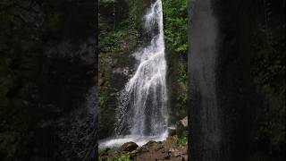 GRUZJA  MTIRALA NATIONAL PARK  ZUCHY W PODRÓŻY [upl. by Pollie]