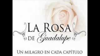 Musica de la rosa de Guadalupe [upl. by Cowan]