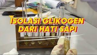 PRAKTIKUM ISOLASI GLIKOGEN DARI HATI SAPI [upl. by O'Toole709]