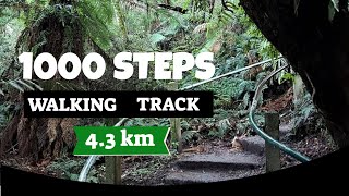 1000 Steps Dandenong Ranges National Park Victoria [upl. by Asirahc473]