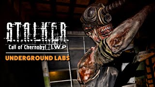 Exploring Underground Labs  STALKER Call Of Chernobyl IWP [upl. by Klarrisa]