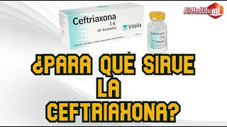 ¿Para qué Sirve la Ceftriaxona [upl. by Olotrab]