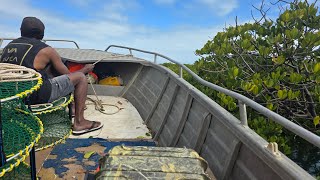 Stanage bay ultimate pro crabber [upl. by Ecnarrot]