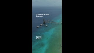 Destination Spotlight Bonaire [upl. by Moira994]