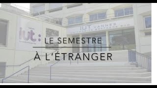 IUT Vannes  Semestre à létranger Techniques de Commercialisation [upl. by Harima]