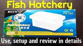 Aquarium fish hatchery  BOYU FH102  Use  setup amp review with alternative options [upl. by Dominy]