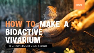 How To Make A Bioactive Vivarium Bearded Dragon Edition 25 Step Bioactive Vivarium Tutorial Guide [upl. by Gleda]