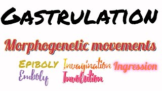 Gastrulation  Morphogenetic movements  Ingression  Involution  Epiboly  Delamination  Emboly [upl. by Hathaway]