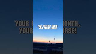 Your Birthday Month Your Breyer Horse breyer breyerfest horse horseriding equestrian fyp [upl. by Ragland]