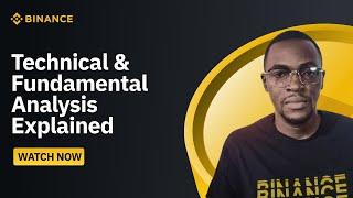 Technical amp Fundamental Analysis Explained for Crypto Beginners [upl. by Nifled]