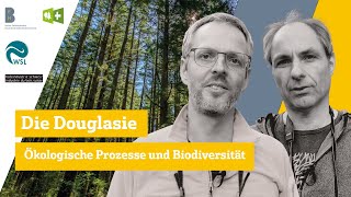 Die Douglasie – Ökologische Prozesse und Biodiversität [upl. by Nylasor524]