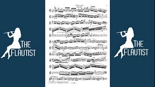 Flute Lessons Learning Score Concertino CChaminade learning flutelessons [upl. by Michi]