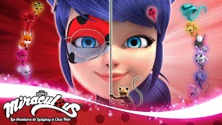 MIRACULOUS  🐭 Multimouse  Transformation ⚛️  Les aventures de Ladybug et Chat Noir [upl. by Issy]