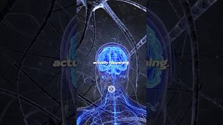 How to reprogram your subconscious mind EFFORTLESSLY  Innertune Affirmations [upl. by Valerian685]