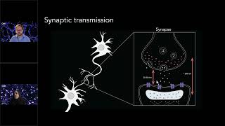 Zooming Into Synapses Tips for Using SMLM in Neuroscience Research [upl. by Wichern]