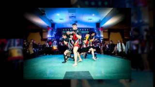 Jing Ying Martial Arts 2014 Chinese New Year Celebration Highlighs [upl. by Athene]