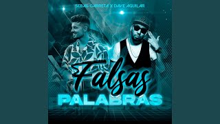 Falsas Palabras Bachata [upl. by Greenfield]