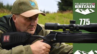 Fieldsports Britain – the magic of sika [upl. by Demmahum444]