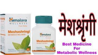 Tablet Meshashringi  The best medicine to digest your carbohydrate [upl. by Refinnaej697]