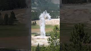 Yellowstone Geysers amp 10000 Tourists [upl. by Johnathan]