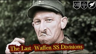 The 3 Worst and Most Precarious Divisions of the German Waffen SS [upl. by Maurene]