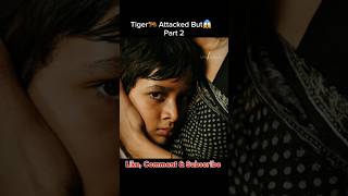 Part 2 Life of Pi Movie Explanation Hindi  Tiger🐅 Attacked But😱 shorts movie shortsfeed [upl. by Ahsuoj]