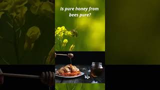 Is pure honey pure [upl. by Erin]