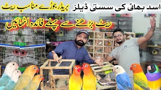 Asad bhai ki sab se sasti deals  birds aviary [upl. by Ahsenahs465]