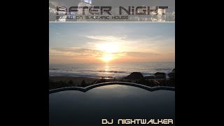 SUMMER ENERGY DISCOHOUSE MUSIC Dj Nightwalker After Night BALEARIC Edit HD Official Music Video [upl. by Crandall250]