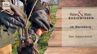 Rebe amp Wein Basiswissen  Im Weinberg Rebschnitt [upl. by Notloc860]