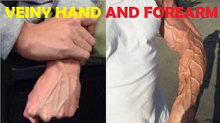 intense veiny hand and forearm advanced workout [upl. by Trakas]