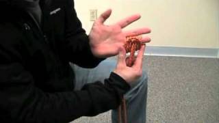 How to tie a Purcell Prusik [upl. by Jervis93]