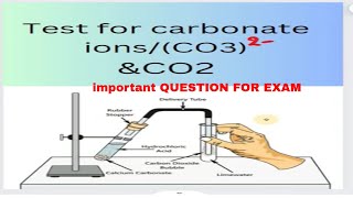 How to test Carbonate scienceexperiment chemicalreaction carbonatetest science co2chemisrty [upl. by Rambow]