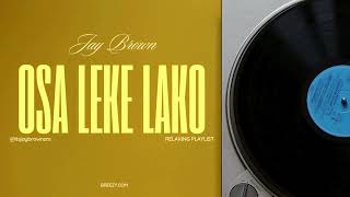 Jay BrownOsa leke lako Official Audio [upl. by Yllac]