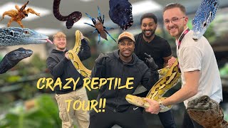 Crazy Reptile Shop Tour😱 [upl. by Ttehc422]